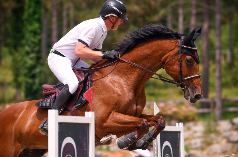 857754-480537568-629323209689397-509892498074638132-n