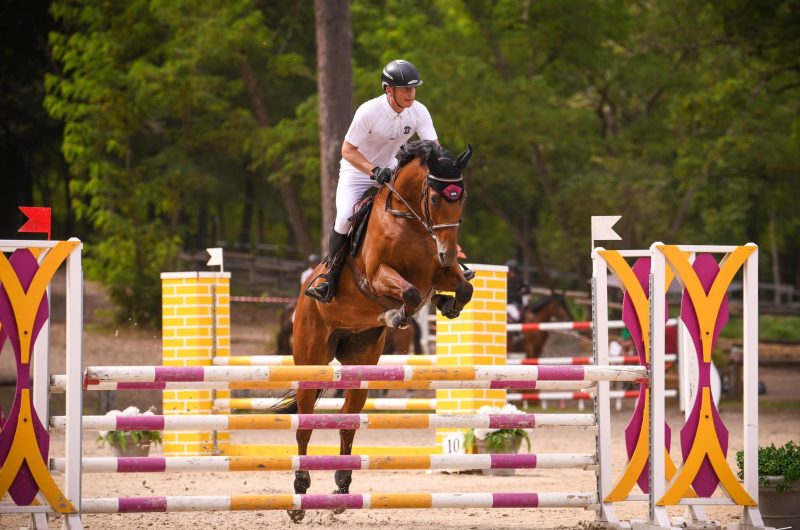 857756-480923618-629574416330943-2226063310741149471-n