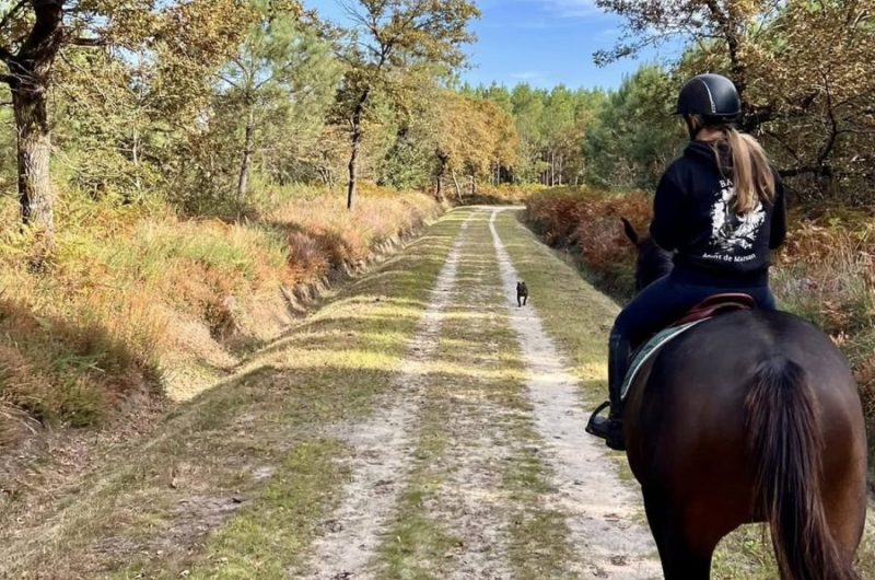 857757-481447818-630003802954671-611411119038540638-n