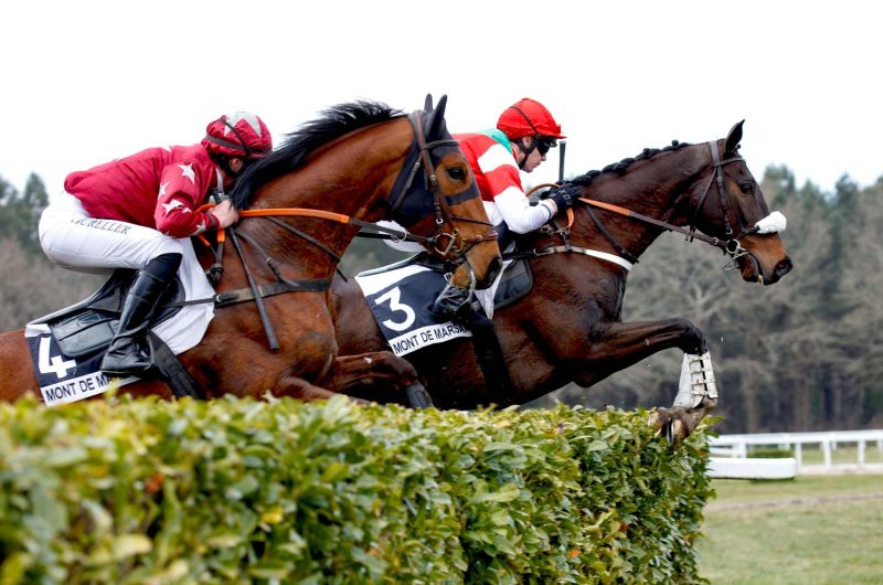 865029-hippodrome6-16032025asac-ba118-photo-club