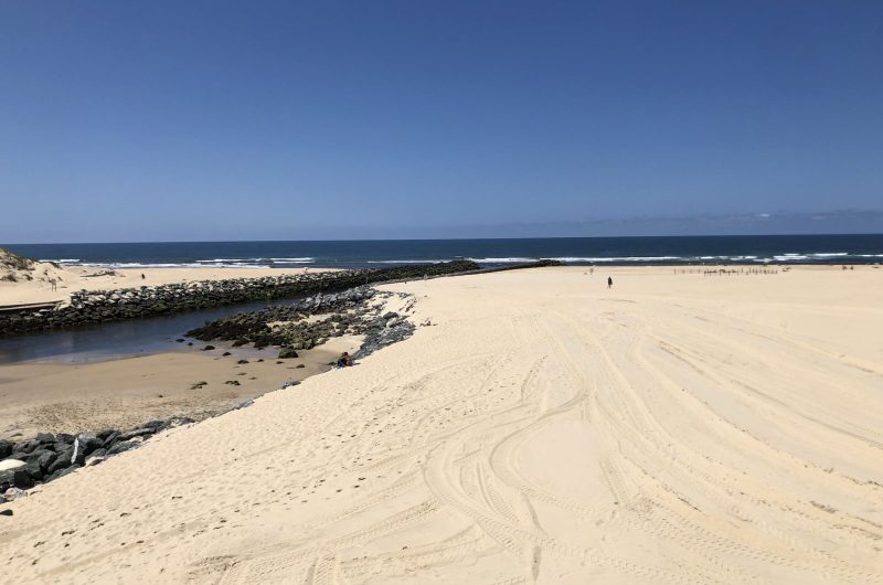 8E4CE437-E10B-4463-B33E-66DA94923BCC