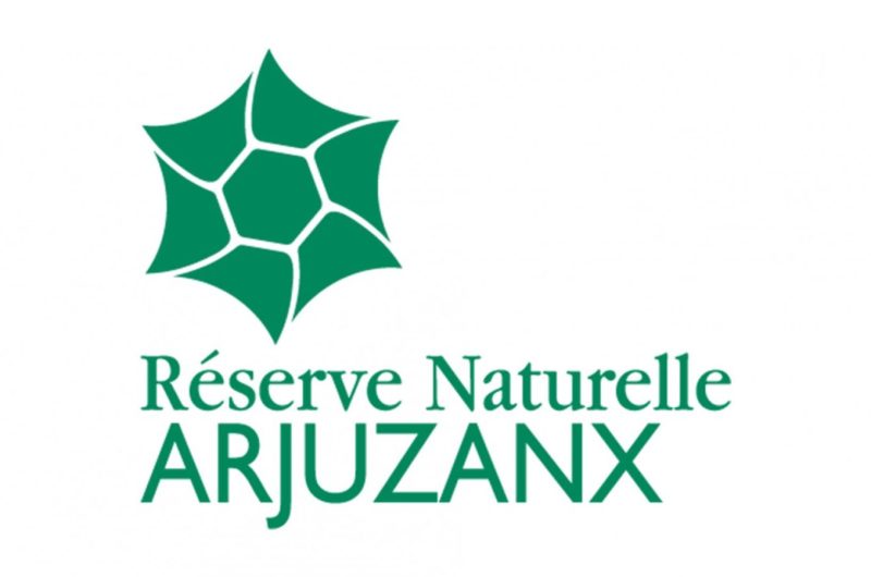 8fd94385300e-RNN-Arjuzanx