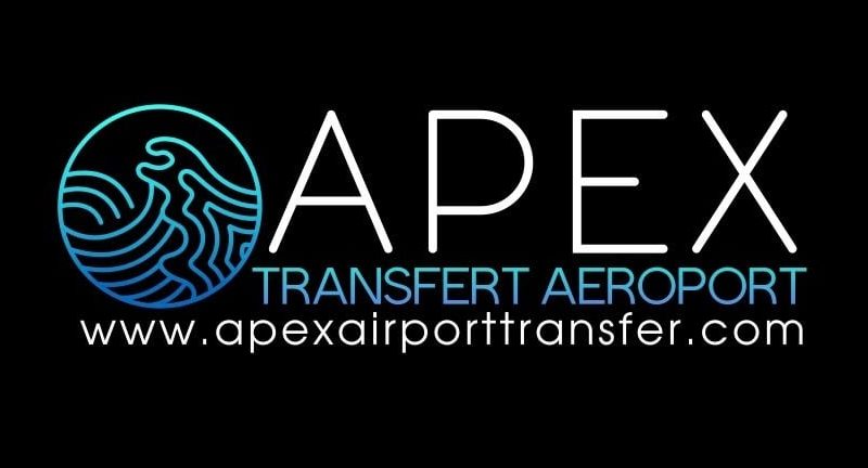 APEX Logo