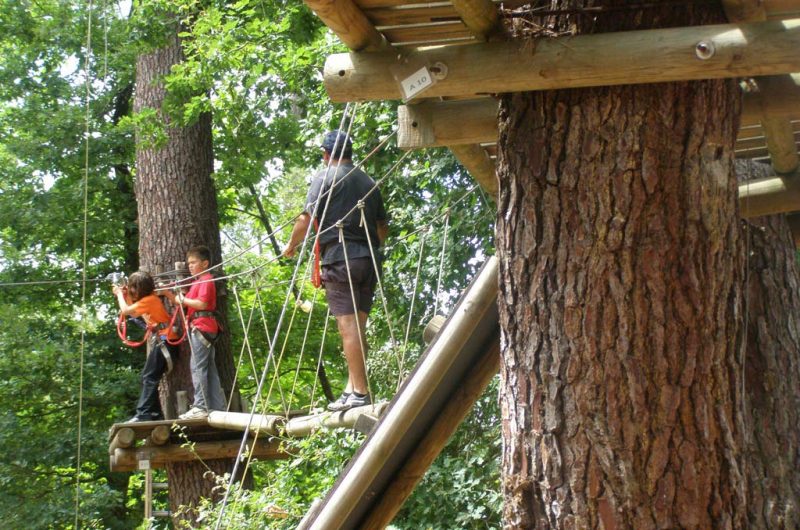 Acrobranches-5-80f61b13d2b94fb8a308f03d8f148026