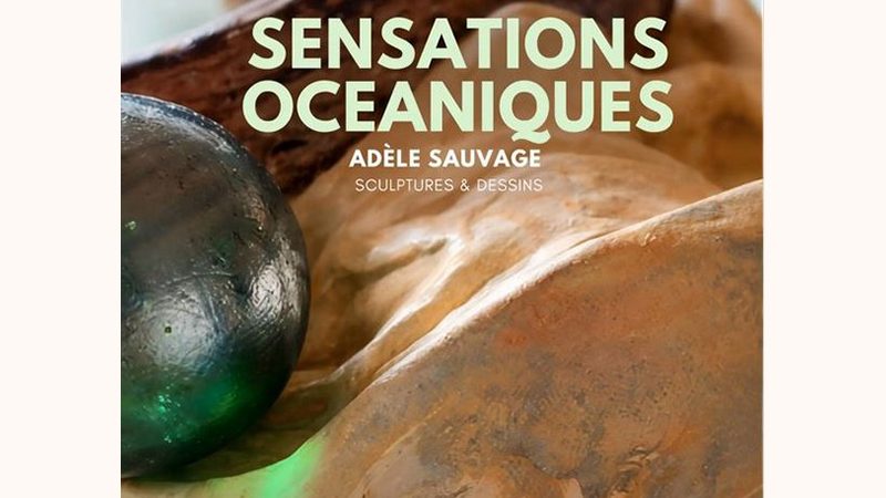 AdeleSauvage882