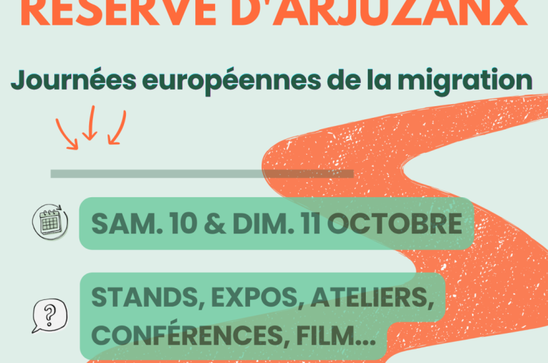Affiche Évènement Animation Sophrologie Moderne Illustré Coloré – 1