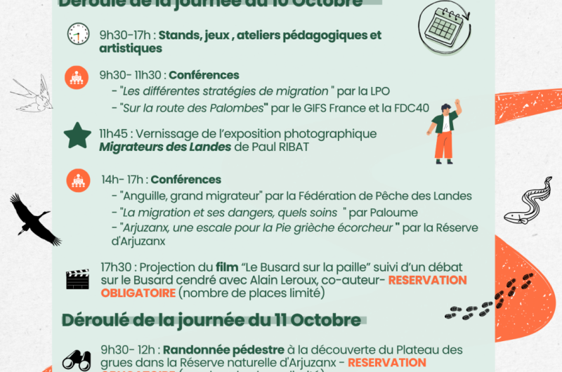 Affiche Évènement Animation Sophrologie Moderne Illustré Coloré – 2