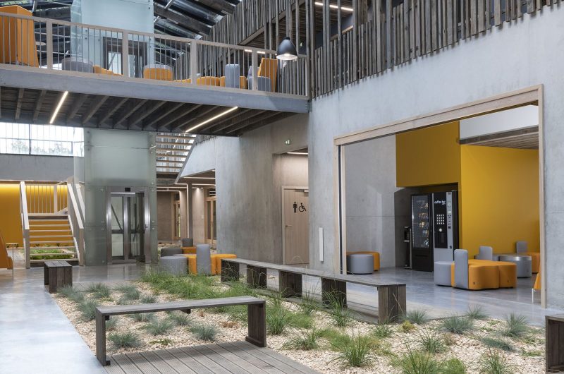 Agrolandes_Patio