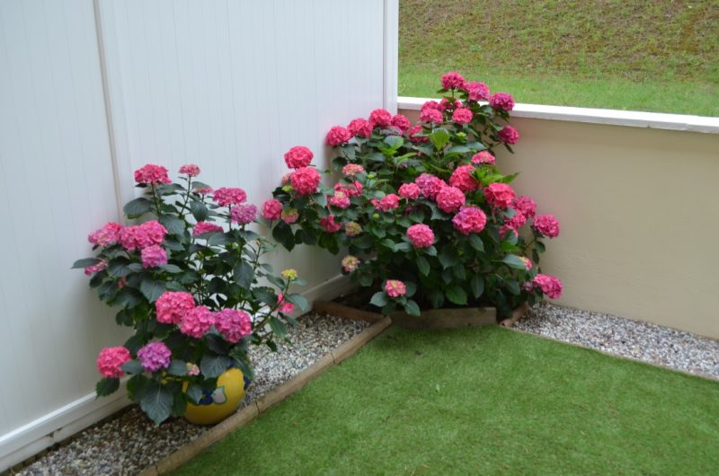 Appartement Bouteille (17)