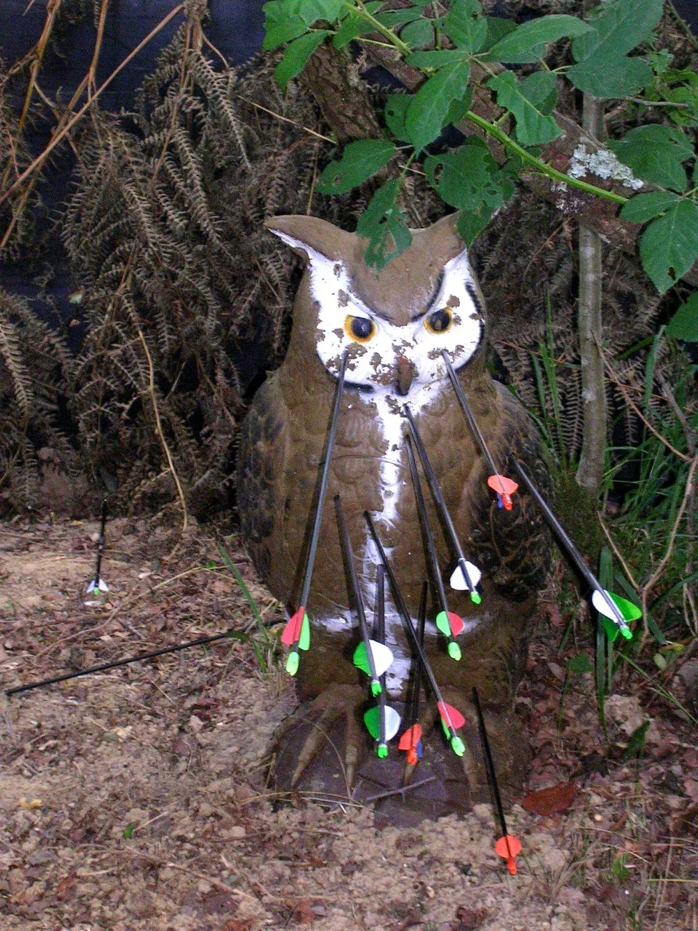 Archers-du-Pays-d-Orthe-03-Labatut