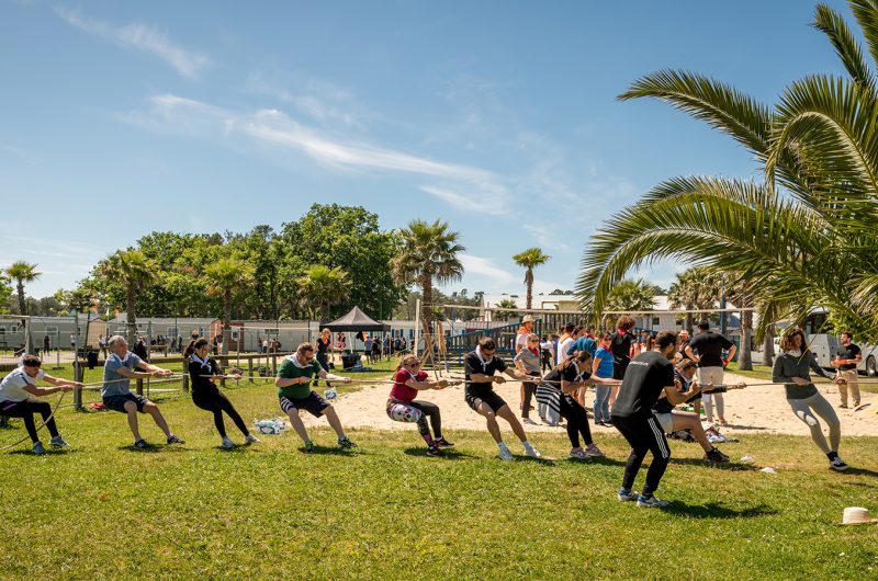 Arena-11-team-building