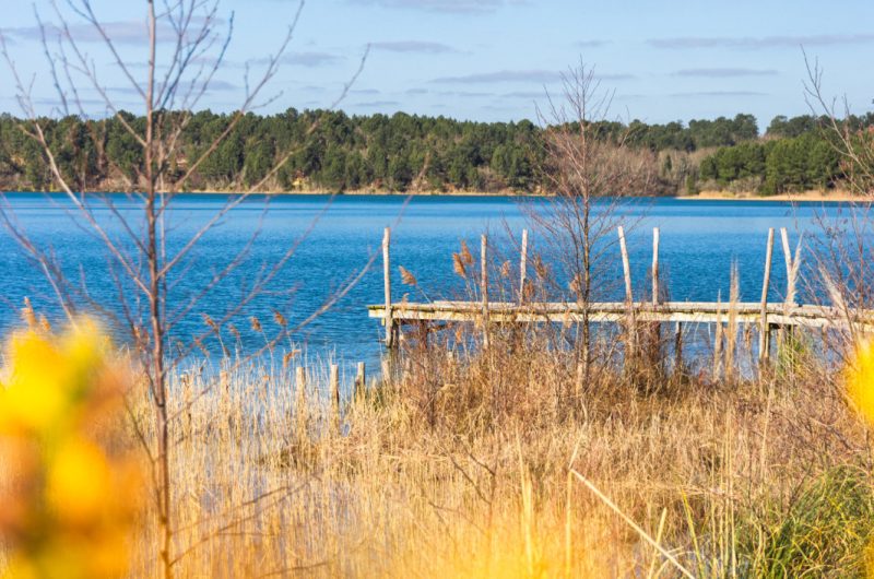 Arjuzanx – site en hiver – ponton @landes attractivité-13