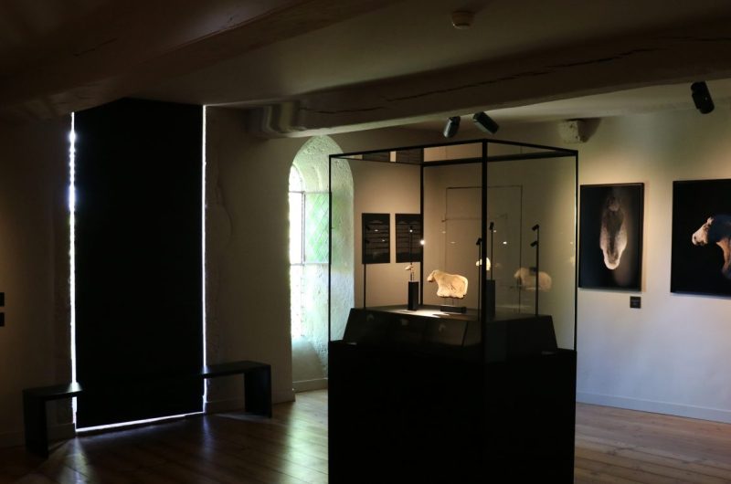 Arthous_Salle-des-Tresors-7491©A.Simonet_Dpt40_2022