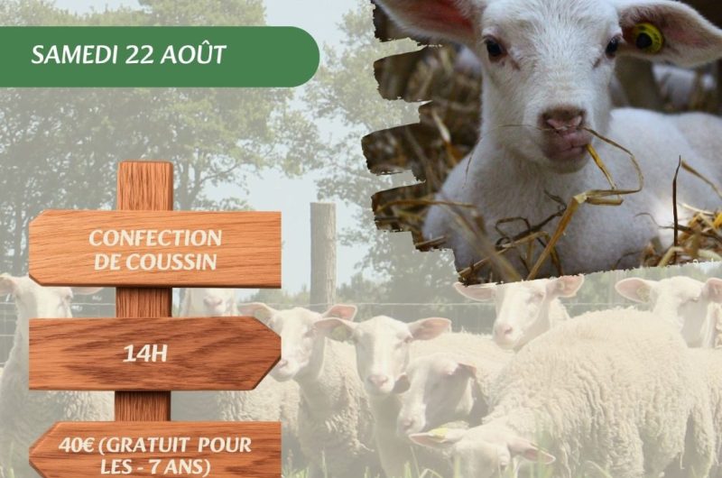 Visites, balades de l’OT – Atelier_22_Août