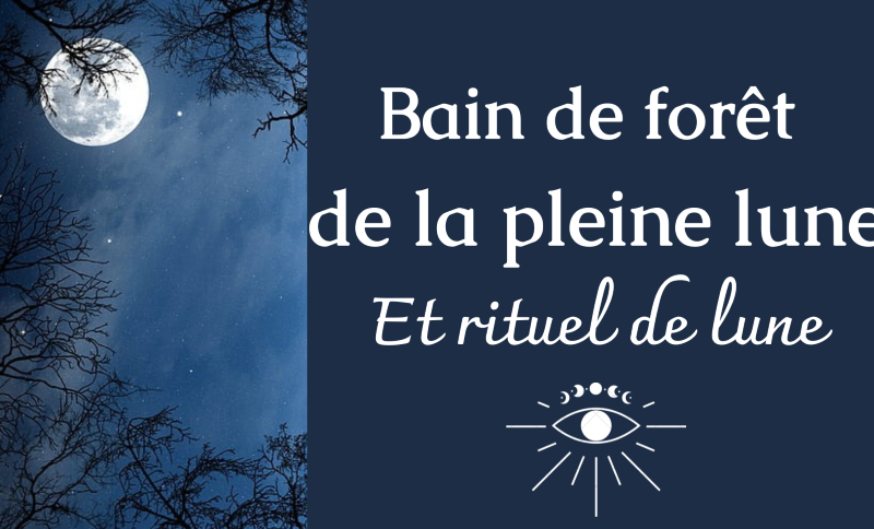 Bain-de-foret-de-la-pleine-lune-OT