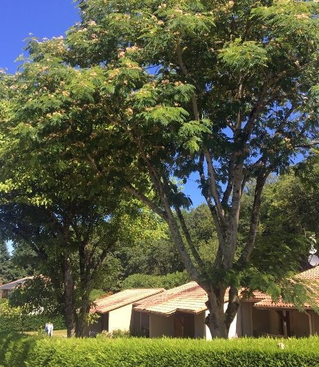 Bungalow-les-Thuyas–3–5