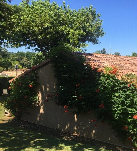 Bungalow-les-Thuyas–9–5