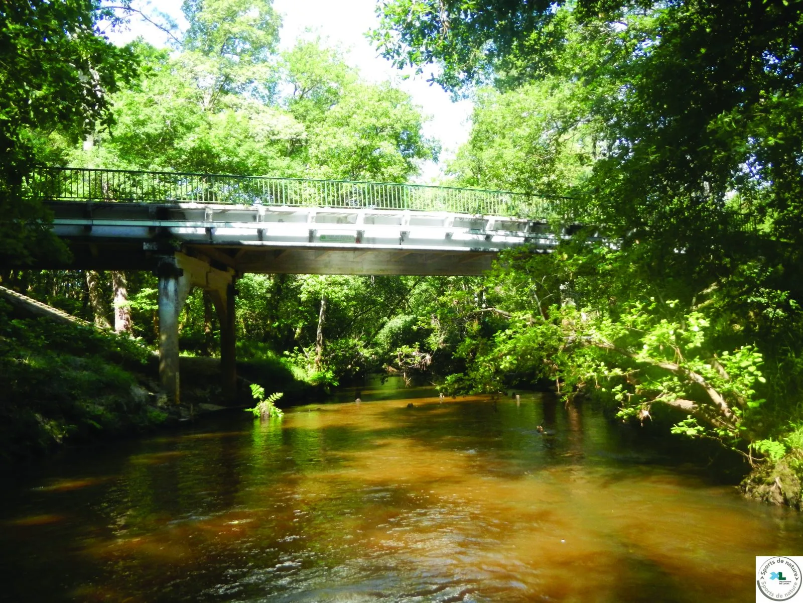 La Leyre : Pont de Moustey – Pont de Saugnac