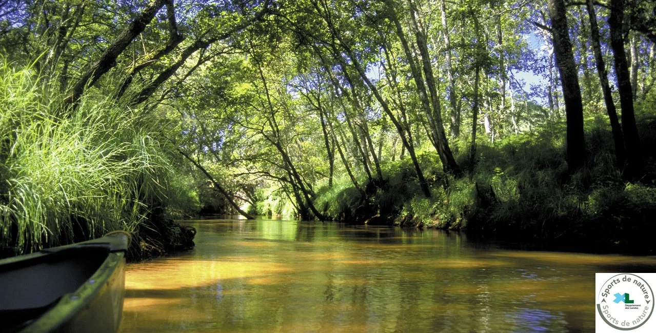 La Leyre : Pont de la Pouloye – Pont de Cantegrit