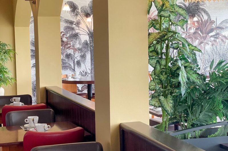 CASTETS_Les Bruyères_PDJ (2)