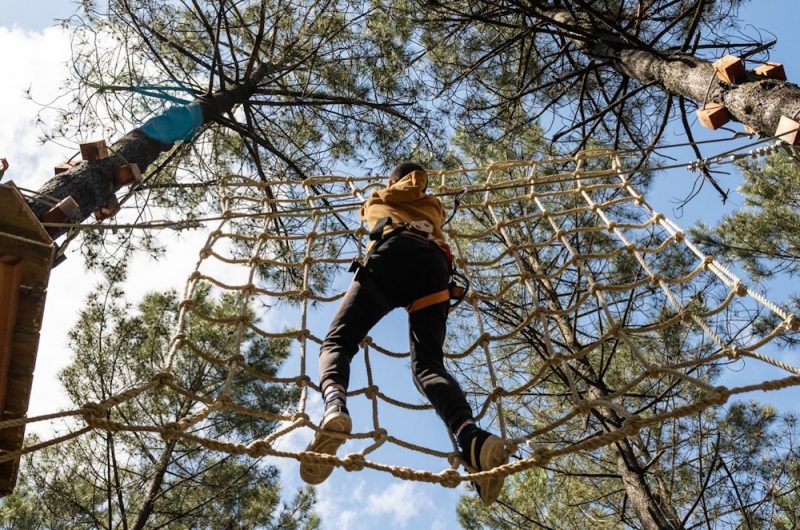 CBEA2CF4-FB43-471C-8342-BB6F173DFC53