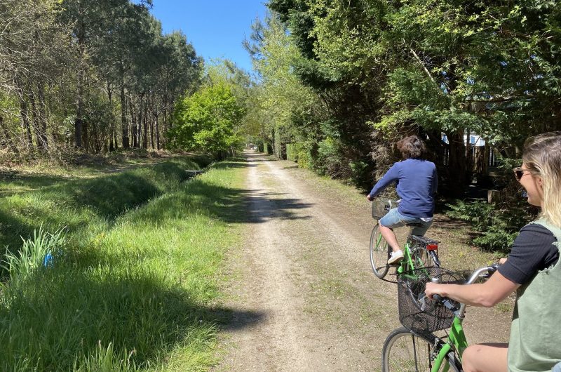 CLICK&BIKE velo vert