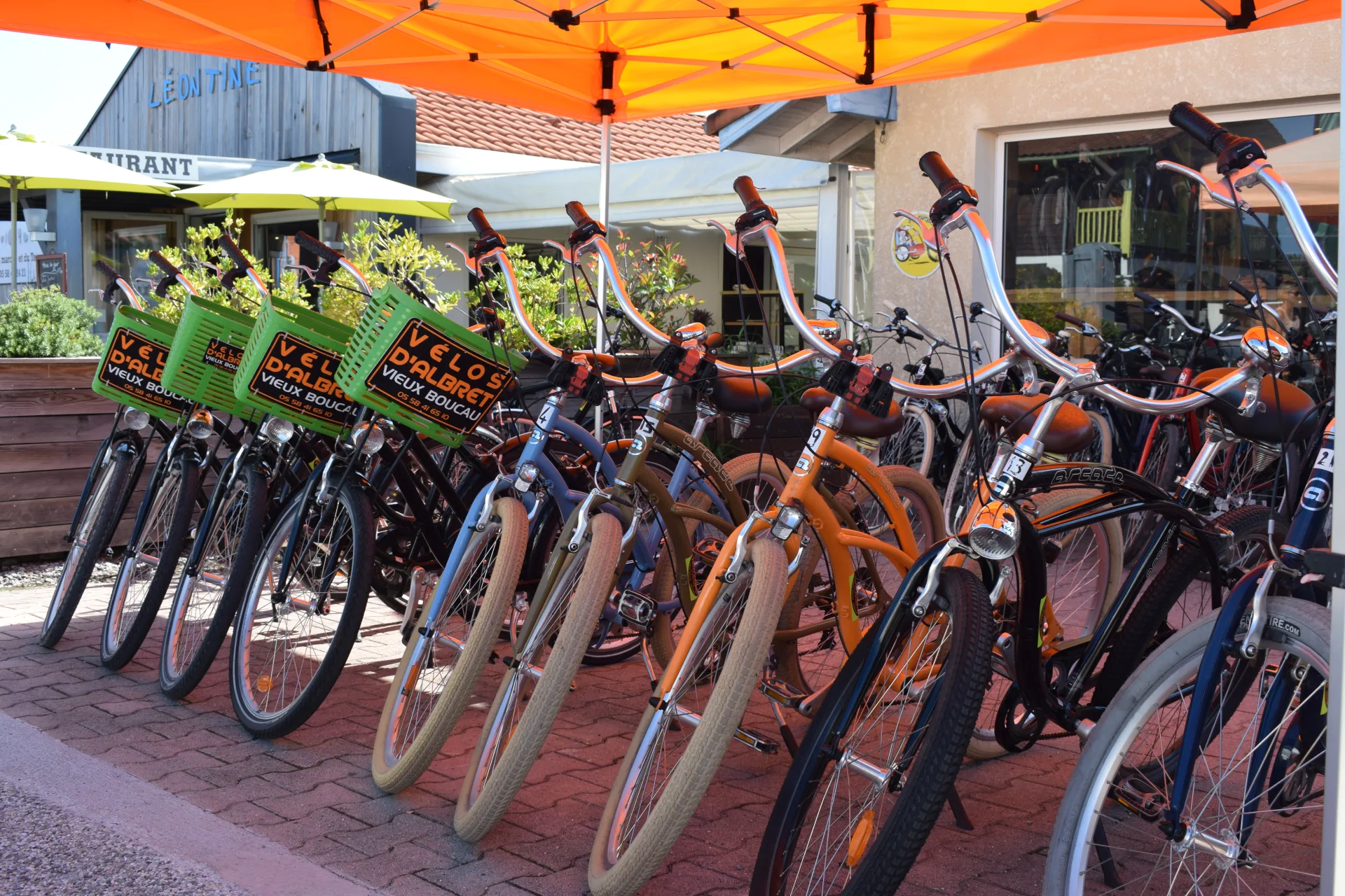 CLNT—LEON—Velos-d-Albret–8-