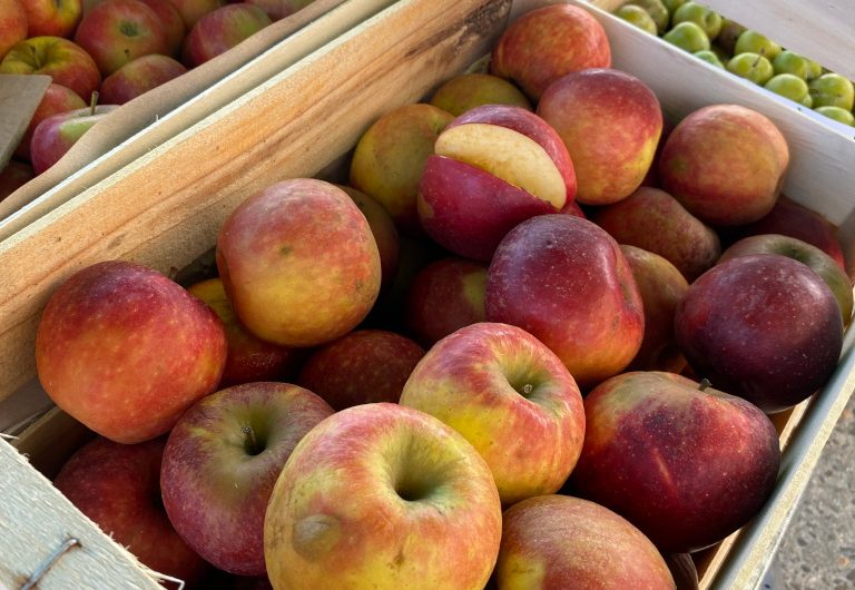 CLNT-CONTIS-Marché (17)TS