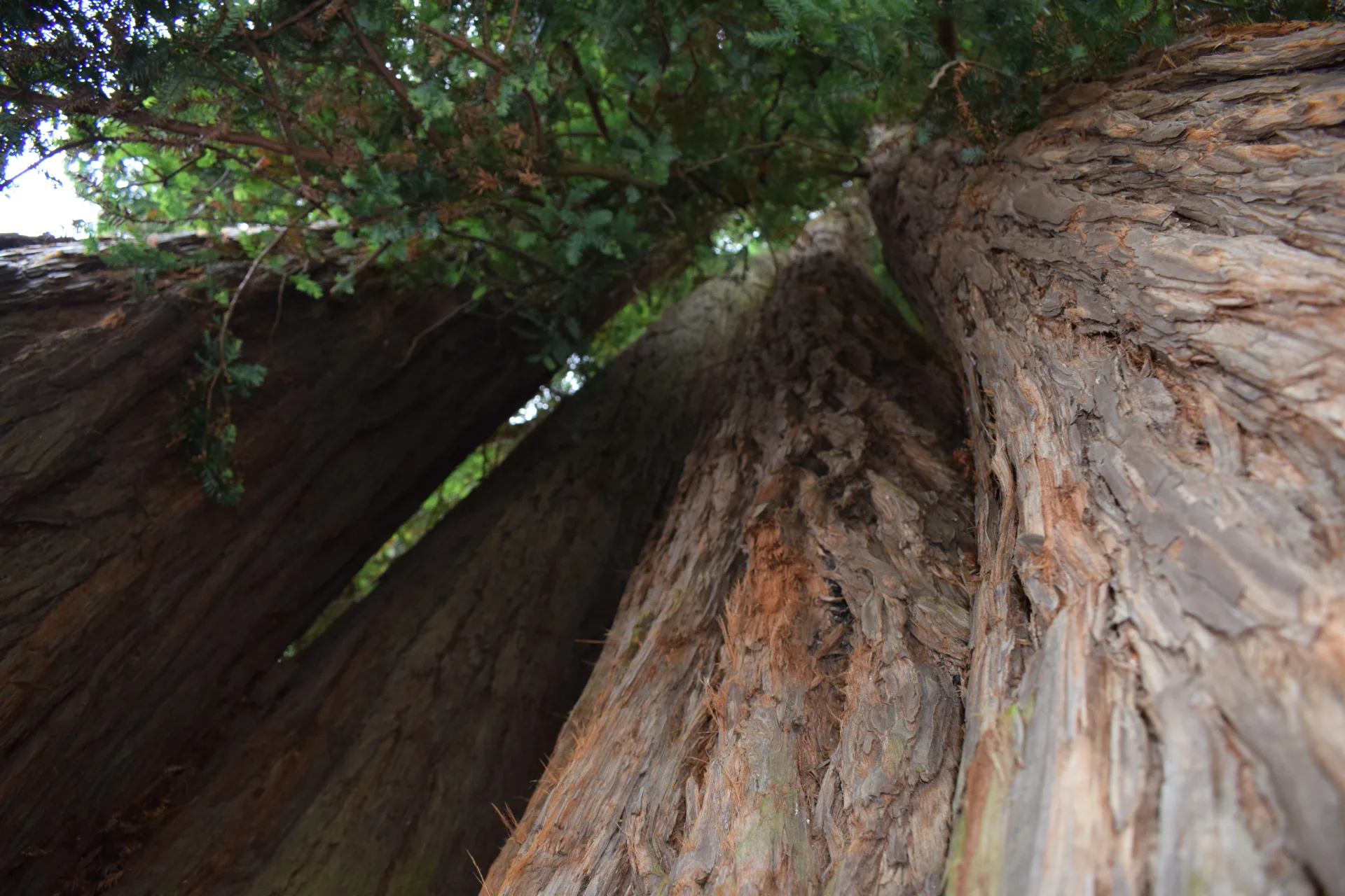 CLNT-Instameet-2–6-