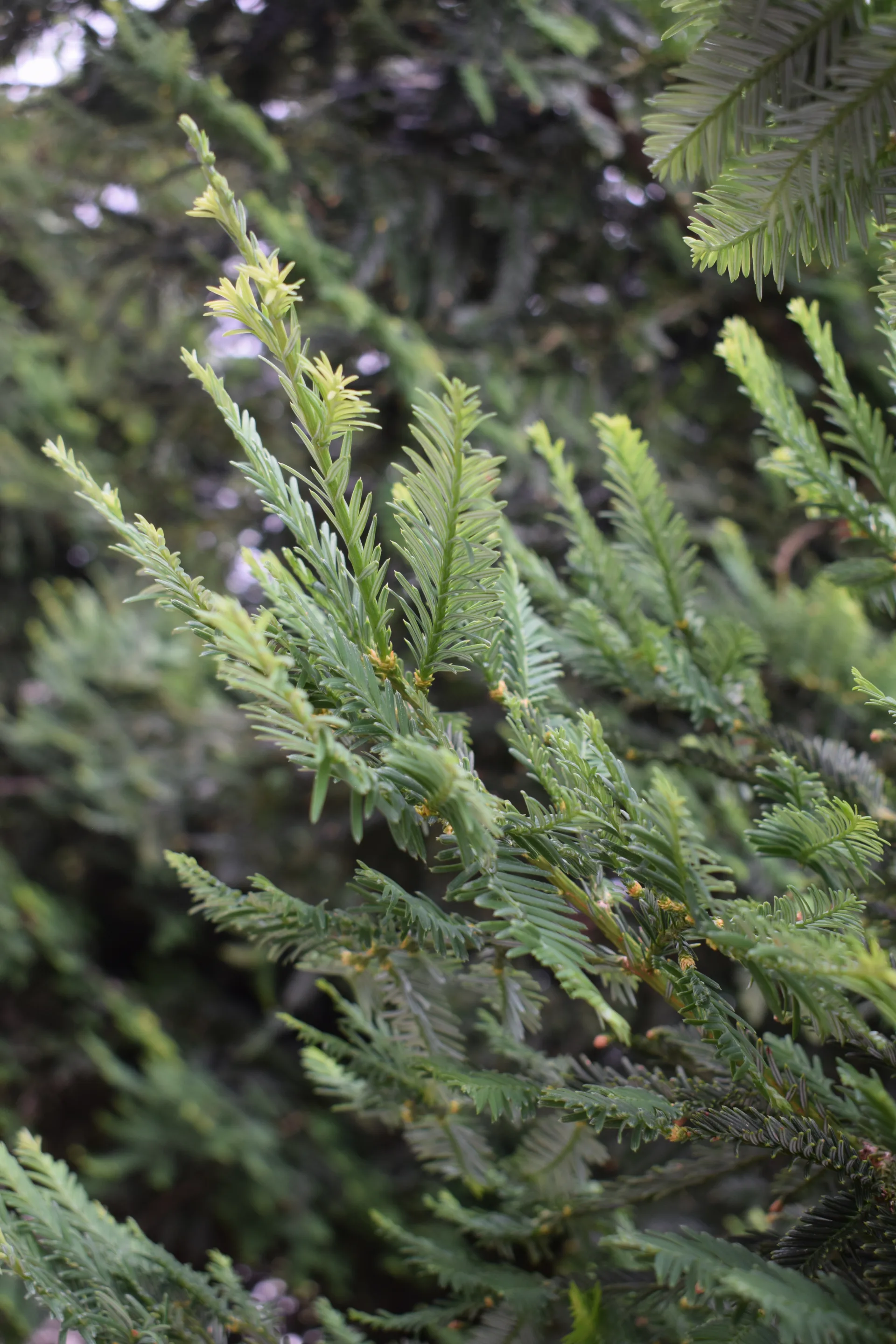 CLNT-Instameet-2–9-