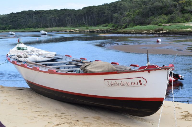 CLNT-Pinasse-Contis-TS