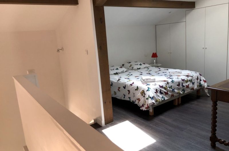 Cante-Corbe7-Soustons-Landes-Atlantique-Sud