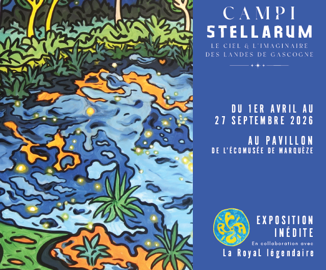 Capture d’écran 2026-02-16 152256