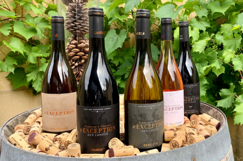 Cave-Tursan_Vins