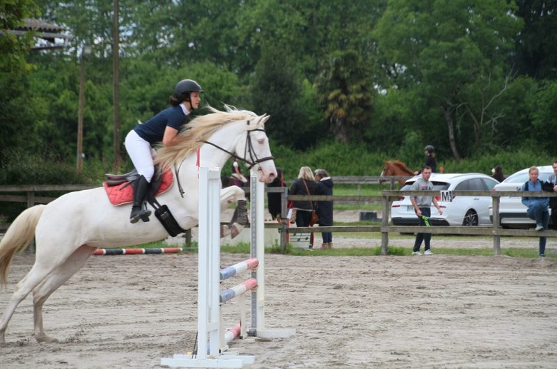 Centre  équestre Menusé2_ST-JEAN-DE-MARSACQ_OTILAS