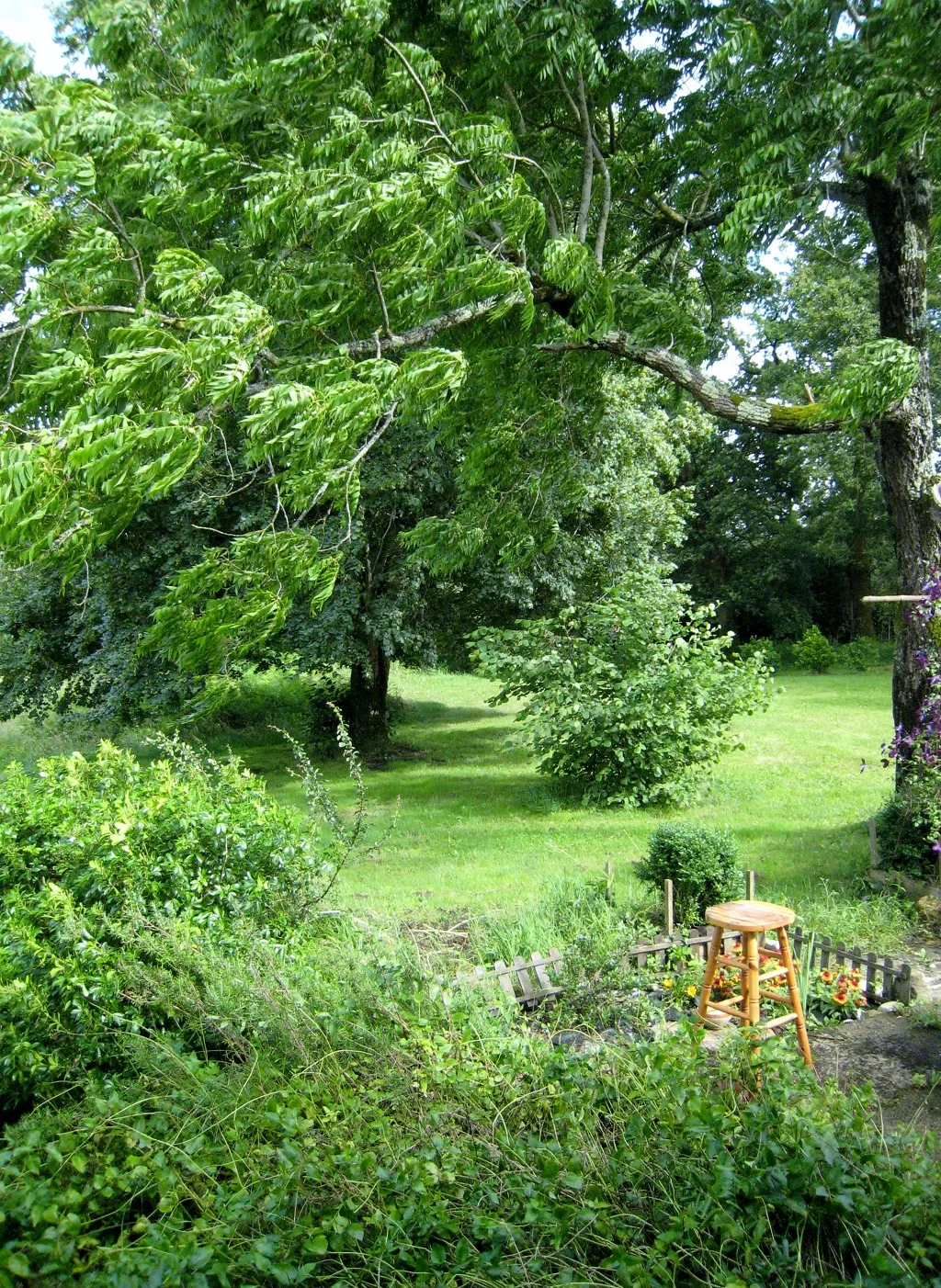 Centre Saraswati – jardin