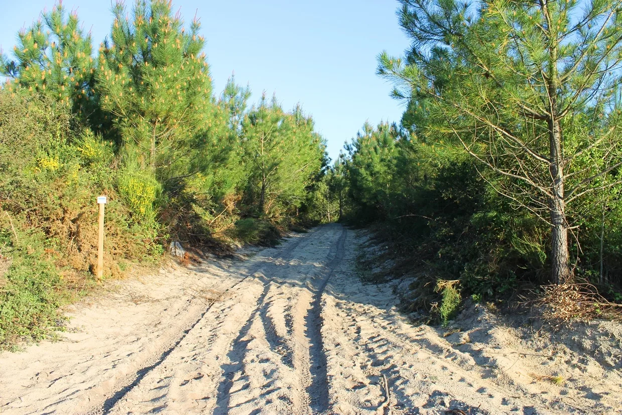 Le circuit rose des plages