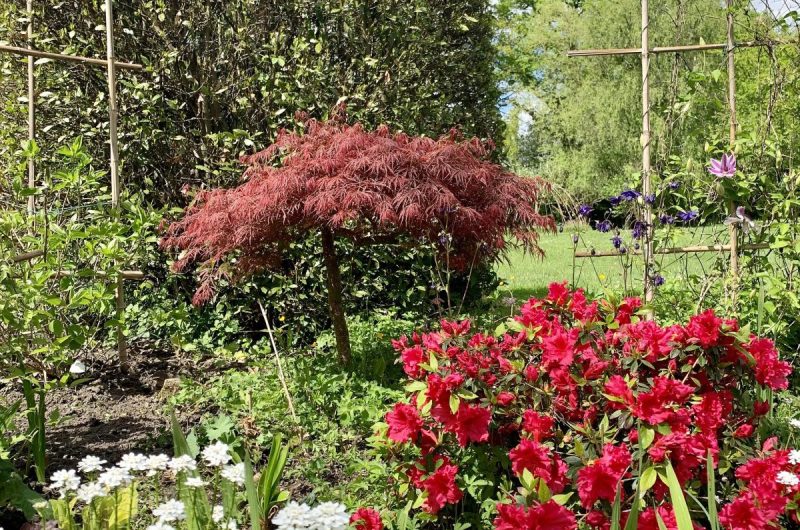 Clos du Benestar-jardin