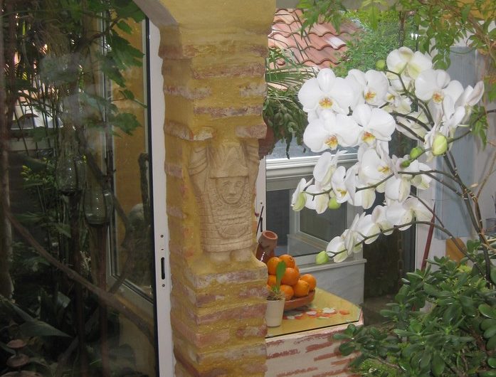 Copie (2) de Copie de IMG_5584