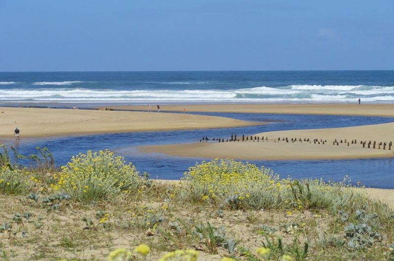 Courant-Huchet-Moliets-Chr-Laudouar