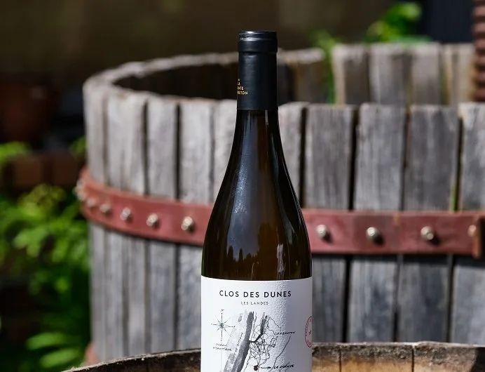 DOMAINE DE LA POINTE CAPBRETON LANDES ATLANTIQUE SUD (4)