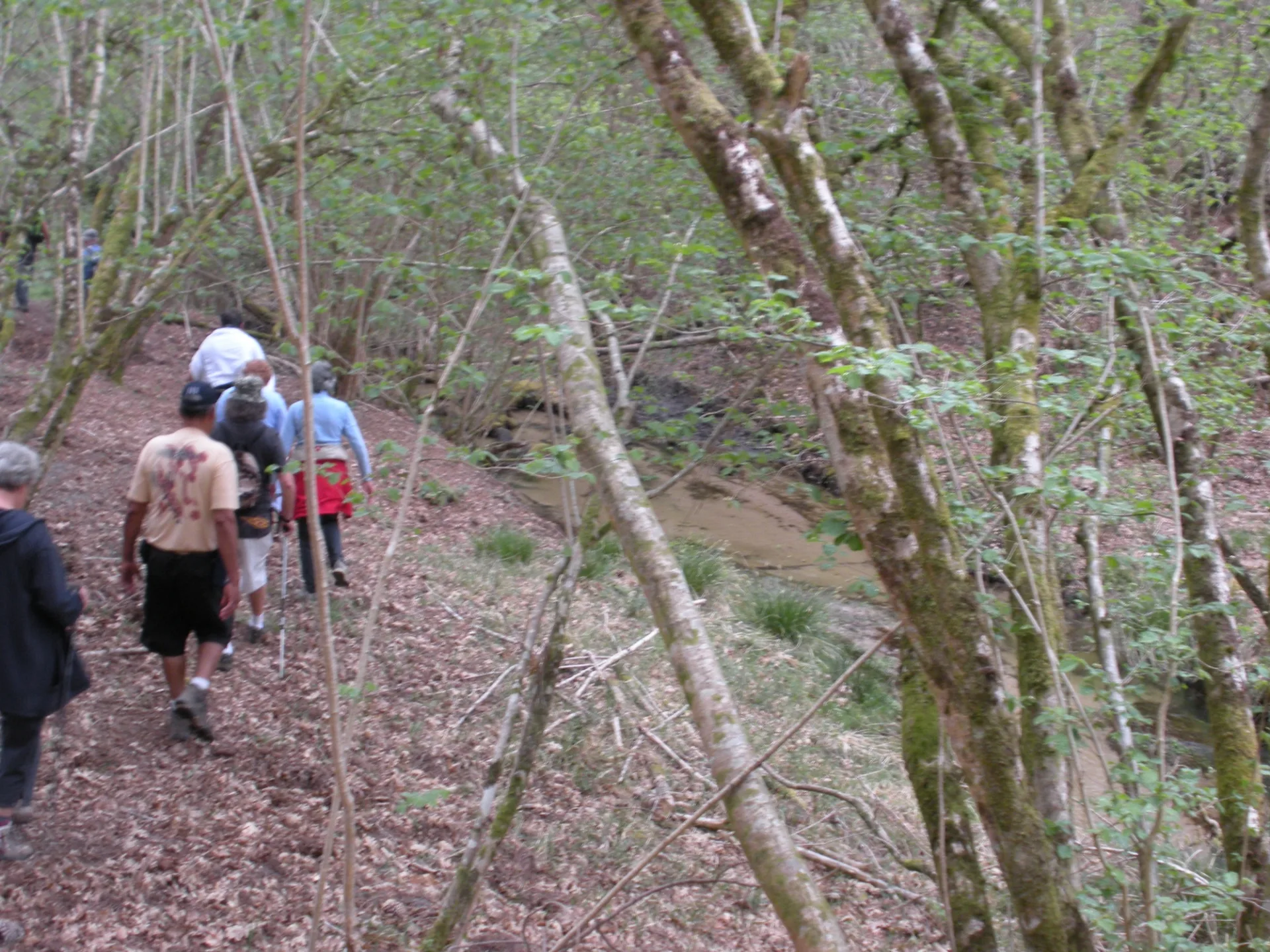 A Onesse-Laharie, circuit du vallon du Coulin