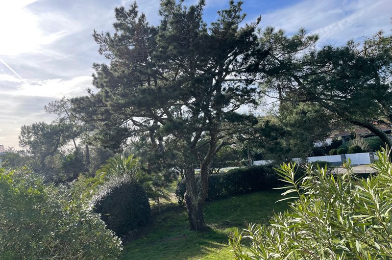 Daugert_capbreton_landesatlantiquesud