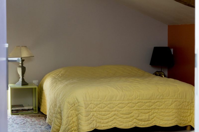 Des pins et des chênes _01A0927