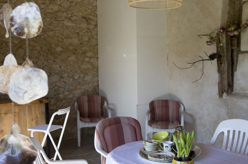 Des pins et des chênes _01A0980