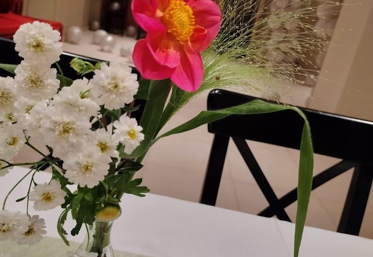 Domaine de Mirval 10