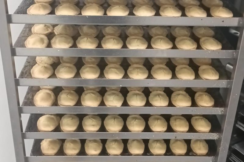 ECHELLE DE MADELEINES (002)