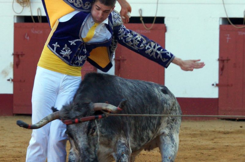 Ecart n°2 – Copyright Céline LAFFARGUE