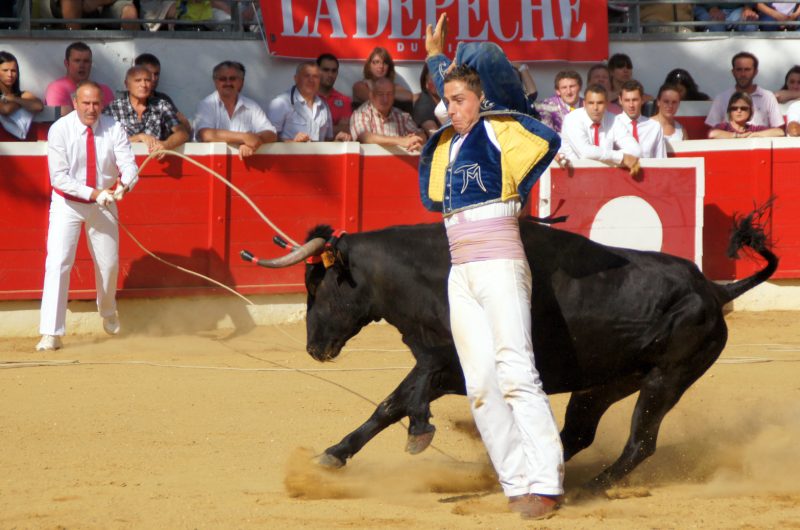 Ecart n°3 – Copyright Céline LAFFARGUE