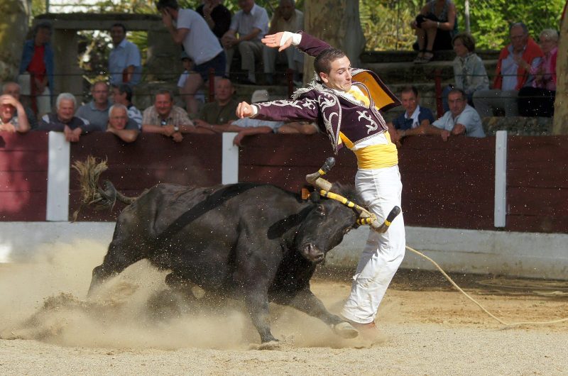 Ecart n°4 – Copyright Céline LAFFARGUE